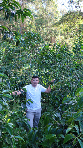 Colombia - Adrian Lasso (Pink Bourbon)